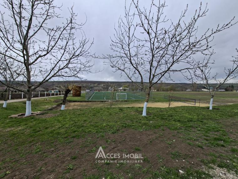 Teren pentru construcții 20 ari! Zăicana, str. Olimp!: 2