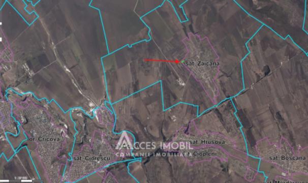 Teren pentru construcții 20 ari! Zăicana, str. Olimp!: 4