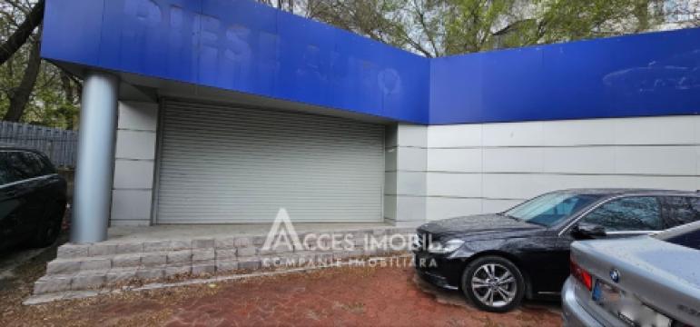 Chirie! Spațiu comercial 205m2! Telecentru, șos. Hâncești!: 9