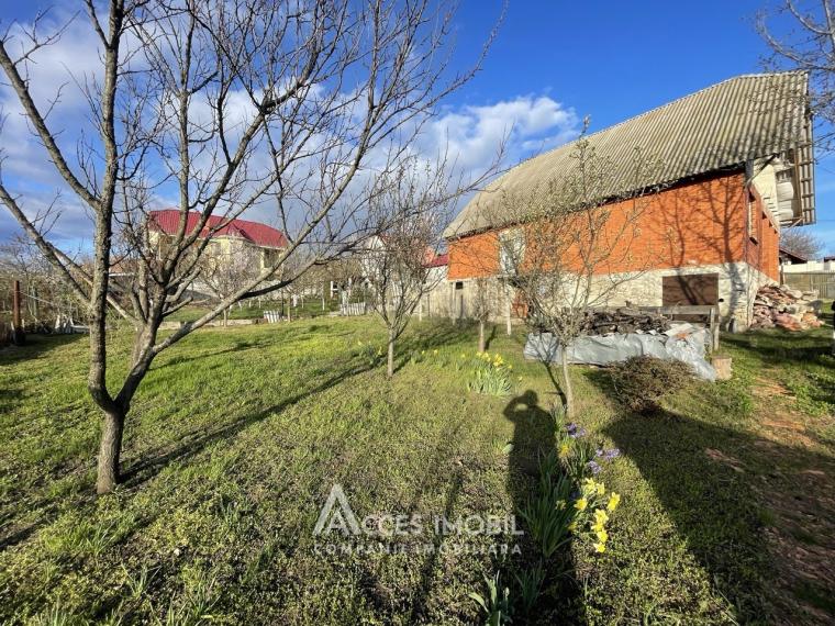 Casă în 2 nivele! Dumbrava, IP Gladiola, 146m2 + 6 ari! Fără Reparație!: 0