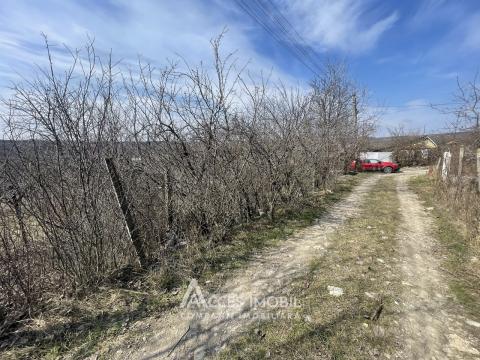 Terenuri de vânzare în Chișinău: Trușeni IP Colos
