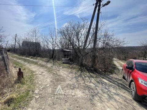 Lot de teren pomicol, 6 ari! Trușeni!: 1