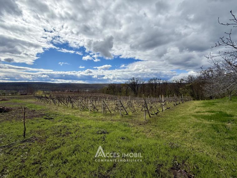 Teren pentru construcție 21.47 ari! Orhei, satul Donici!: 3