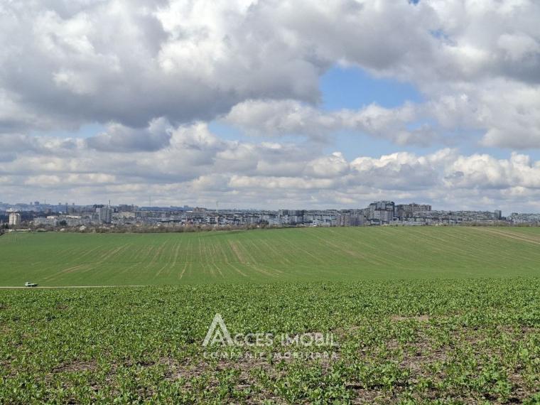 Teren Agricol 10 ari! Tohatin, I.P. Asociatul!: 1