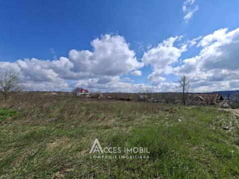 Teren Agricol 10 ari! Tohatin, I.P. Asociatul!: 2