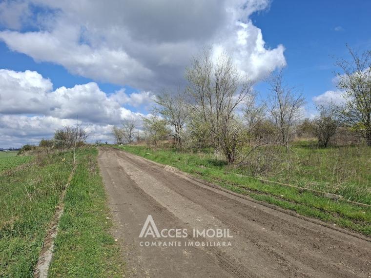 Teren Agricol 10 ari! Tohatin, I.P. Asociatul!: 3