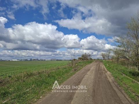 Teren Agricol 10 ari! Tohatin, I.P. Asociatul!: 5