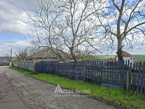 Terenuri de vânzare în Chișinău: Cruzești,str. Întemeietorul Crudu