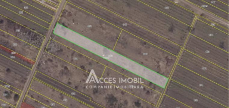 Teren pomicol 9 ari! Durlești!: 2