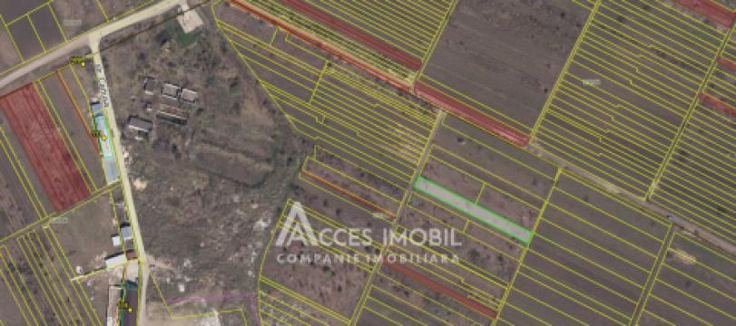 Teren pomicol 9 ari! Durlești!: 3