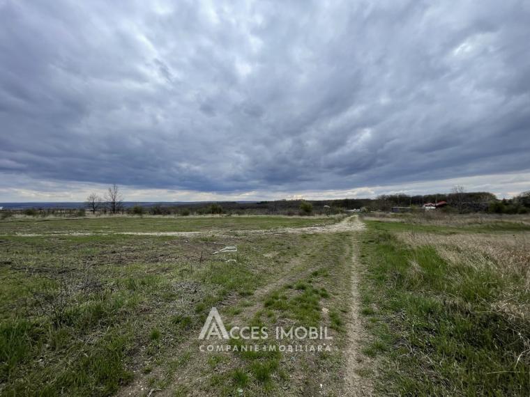 Земельный участок под строительство 12 соток! ул. Григоре Виеру, Дурлешты!: 0