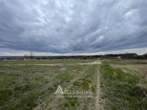 Terenuri de vânzare în Chișinău: Durlești,str. Grigore Vieru