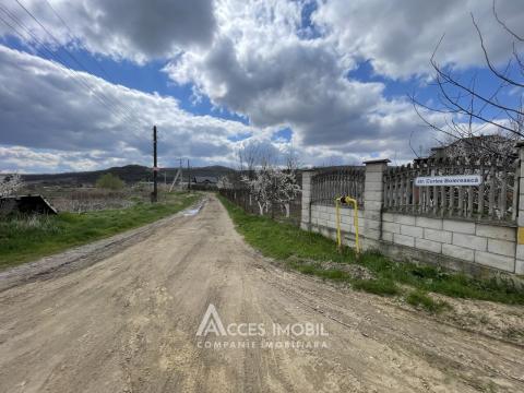 Terenuri de vânzare în Chișinău: Nimoreni, str. Castanilor