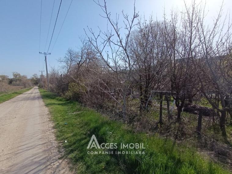 Lot de teren pomicol 6 ari! Băcioi, bd. Dacia! IP Bacivet, direcția spre aeroport!: 0