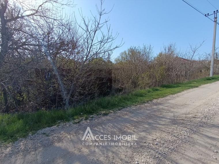 Lot de teren pomicol 6 ari! Băcioi, bd. Dacia! IP Bacivet, direcția spre aeroport!: 1