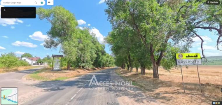 Teren pentru construcții 8 ari! Coșernița, str. Mihai Eminescu!: 4