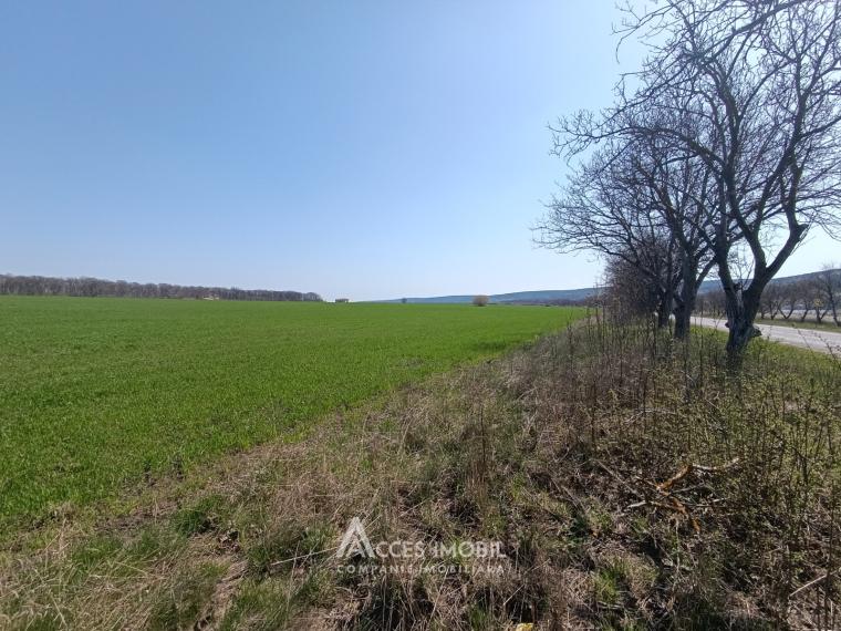 Teren agricol 270 ari, Ivancea, traseul R23!: 0