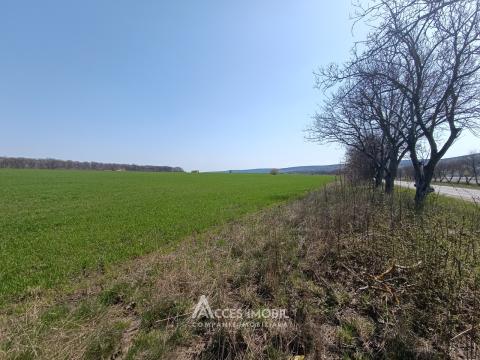 Terenuri de vânzare în Chișinău: Ivancea, R23