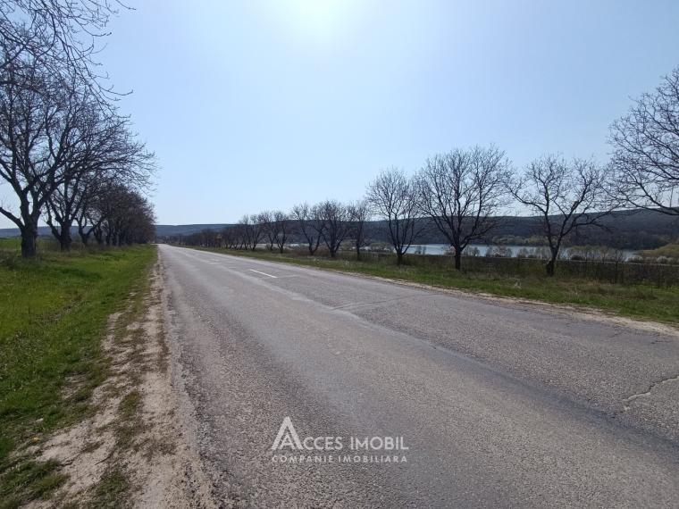 Teren agricol 270 ari, Ivancea, traseul R23!: 2
