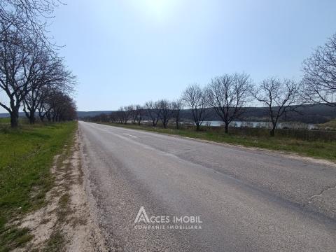 Teren agricol 270 ari, Ivancea, traseul R23!: 2