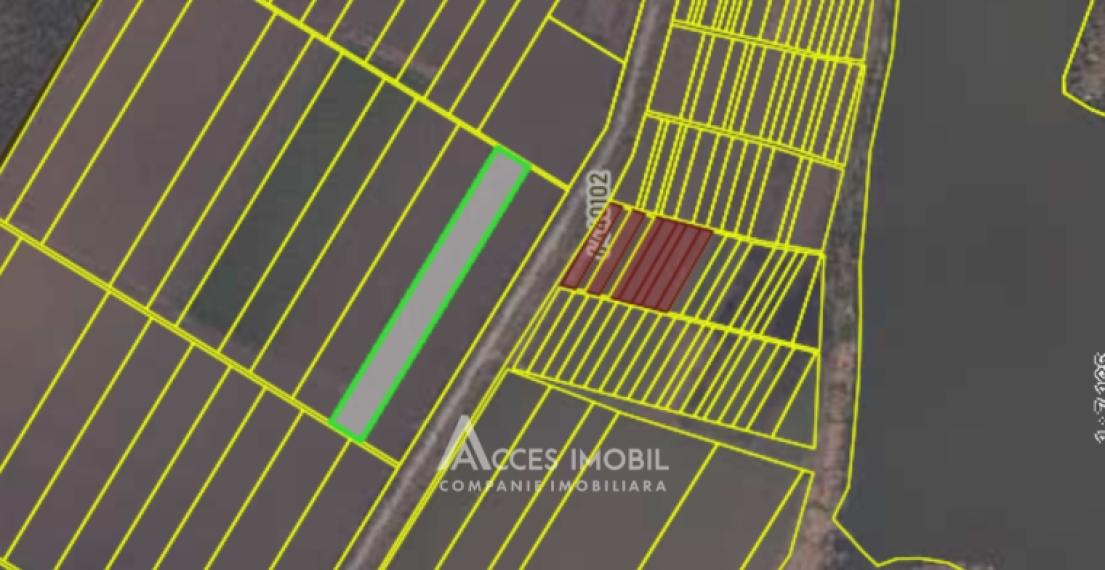 Teren agricol 270 ari, Ivancea, traseul R23!: 4