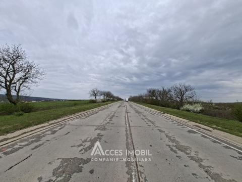 Teren Agricol 21 ari! Tohatin, M14!: 1