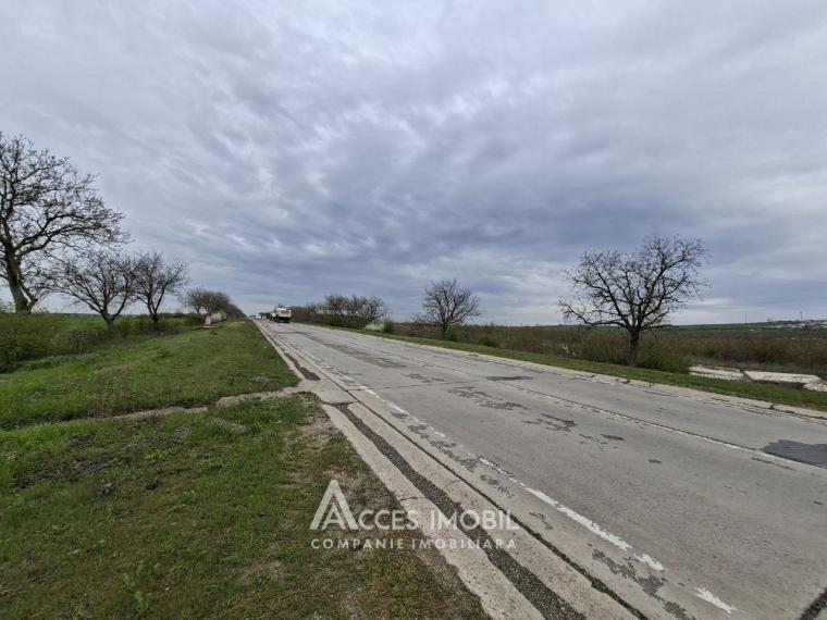 Teren Agricol 21 ari! Tohatin, M14!: 3