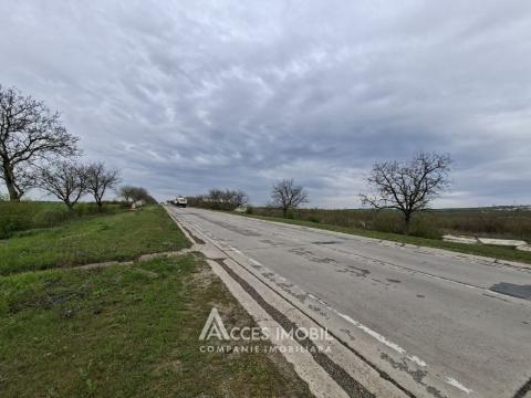 Teren Agricol 21 ari! Tohatin, M14!: 3