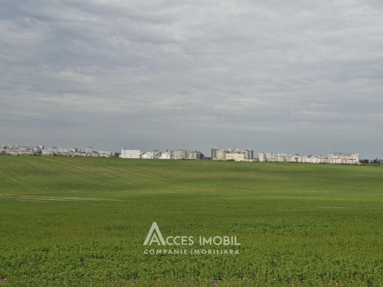 Teren Agricol 10 ari! Tohatin, I.P. Asociatul!: 0