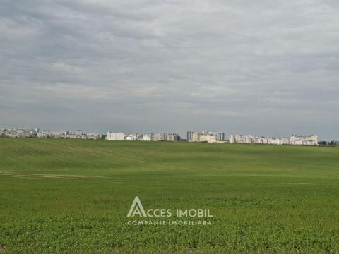 Продажа земельных участков в Кишиневе: Тогатин, ИП «Ассоциа