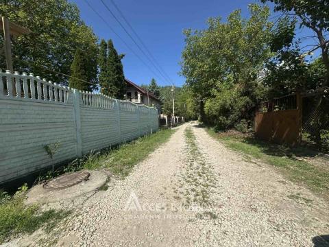 Сельскохозяйственный земельный участок 6 соток! Пырыта, ИП Флора!: 3