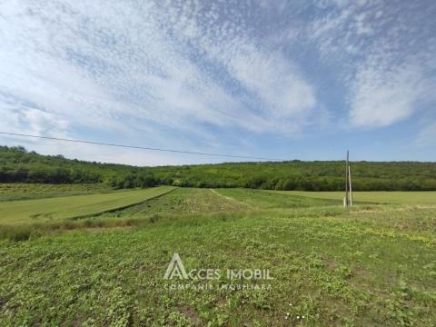 Teren pomicol 17 ari! Buneț, str. Pădurilor!: 2