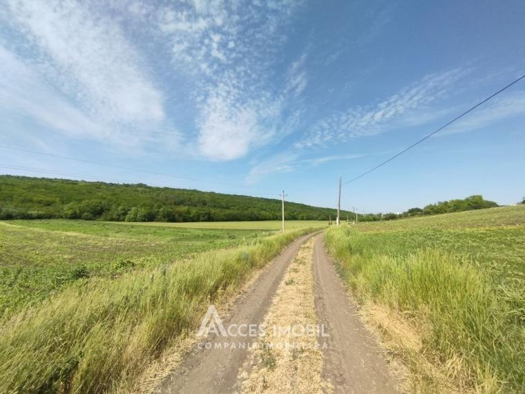 Teren pomicol 17 ari! Buneț, str. Pădurilor!: 3