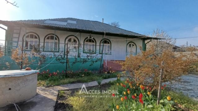 Case de vânzare în Chișinău: Cojușna, str. Alexandru cel Bun