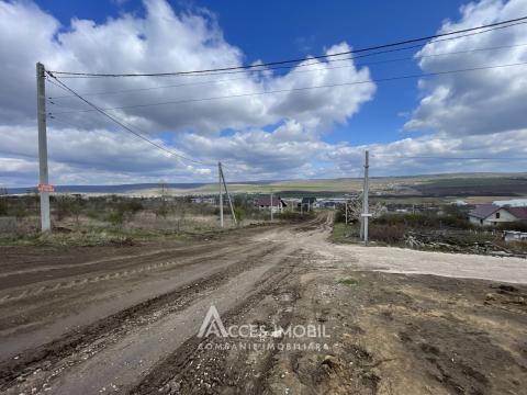 : Nimoreni, str. Castanilor