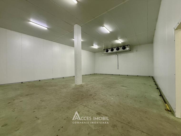 Chirie! Spațiu comercial, Râșcani str. Petricani, 762m2!: 2