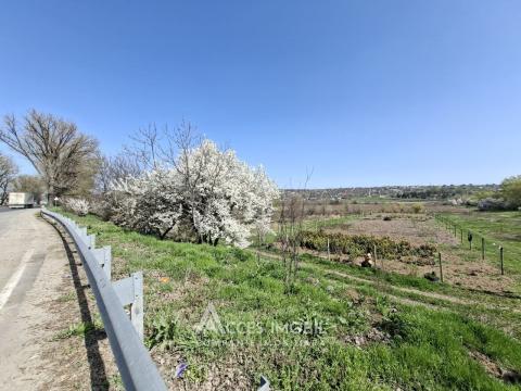 Сельскохозяйственный земельный участок 17 сот, Магдачешты!: 3