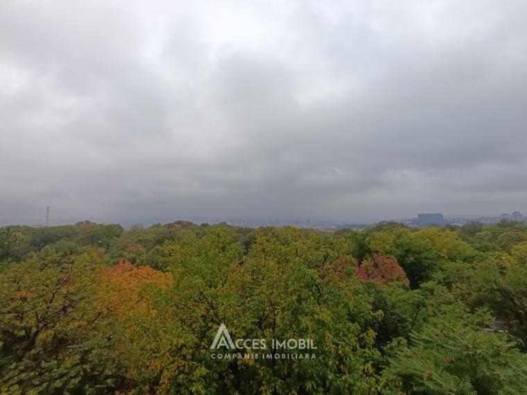 Аренда! Чеканы, ул. Михаил Садовяну, 3 комнаты! Середина дома!: 13