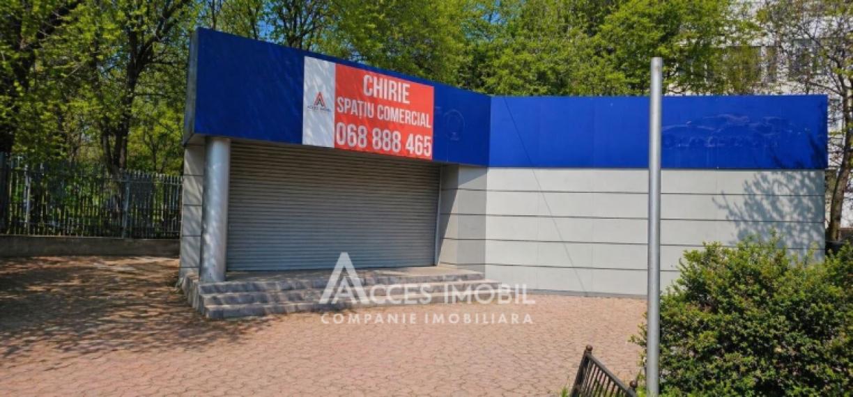 Chirie! Spațiu comercial 205m2! Telecentru, șos. Hâncești!: 0