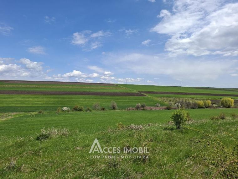 Lot of agricultural land, 238 ares. Outside the city, Colonița!: 0