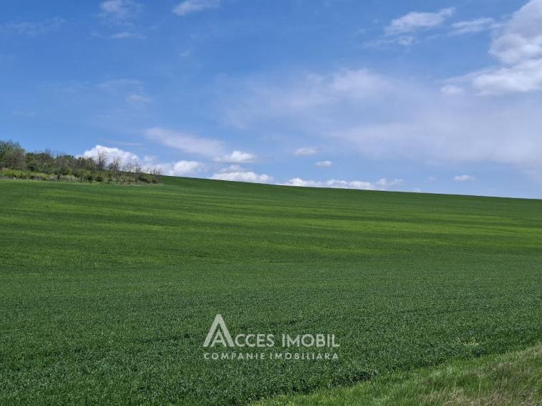 Lot of agricultural land, 238 ares. Outside the city, Colonița!: 1