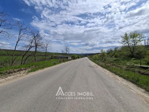Lot of agricultural land, 238 ares. Outside the city, Colonița!: 2