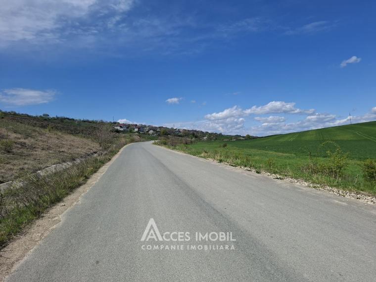 Lot of agricultural land, 238 ares. Outside the city, Colonița!: 3