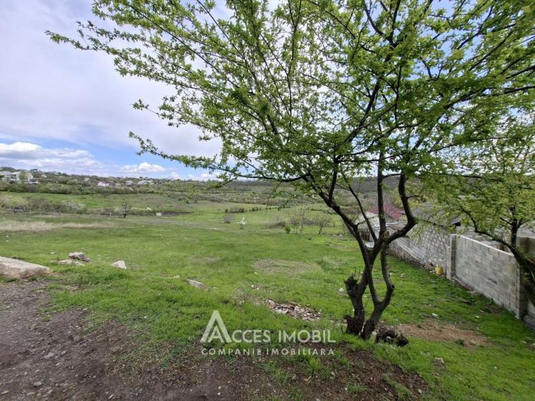 Участок под стороительство 8.62 соток. Бубуечь, ул. М. Витязул!: 4