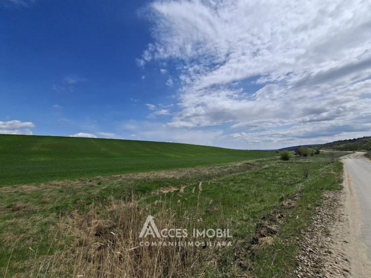 Lot de teren agricol, 101 ari. Extravilan, Colonița!: 0