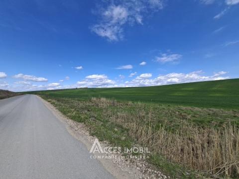 Lot de teren agricol, 101 ari. Extravilan, Colonița!: 1