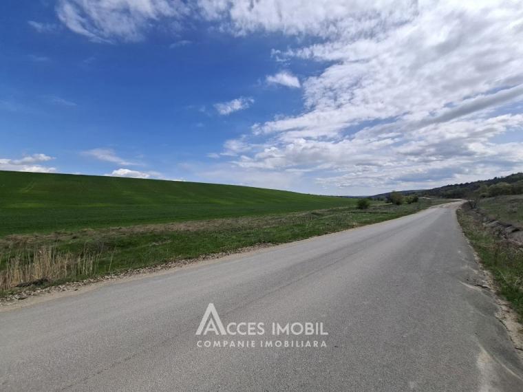 Lot de teren agricol, 101 ari. Extravilan, Colonița!: 2