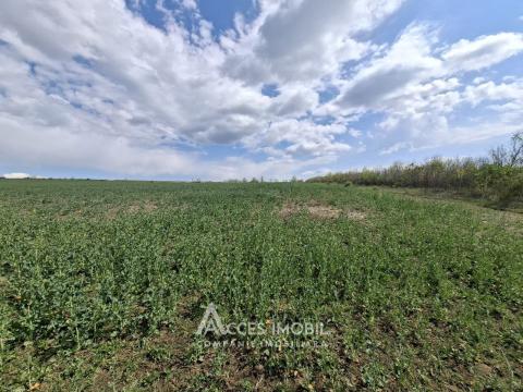 Сельскохозяйственный земельный участок 24 соток! Бубуечь!: 2