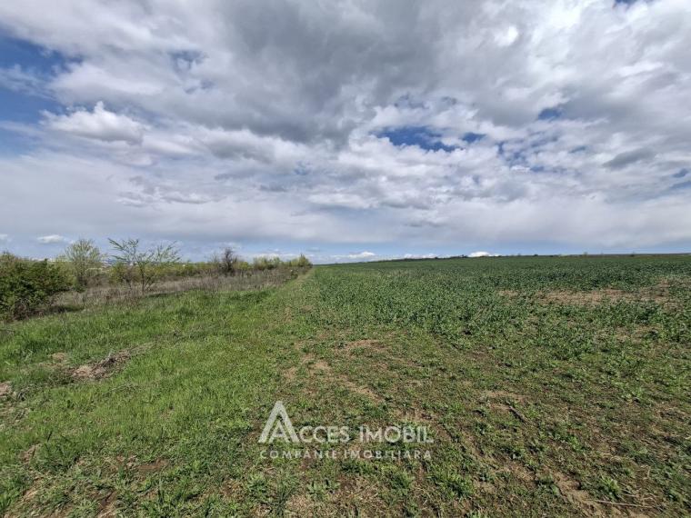 Сельскохозяйственный земельный участок 24 соток! Бубуечь!: 3