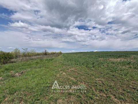 Сельскохозяйственный земельный участок 24 соток! Бубуечь!: 3